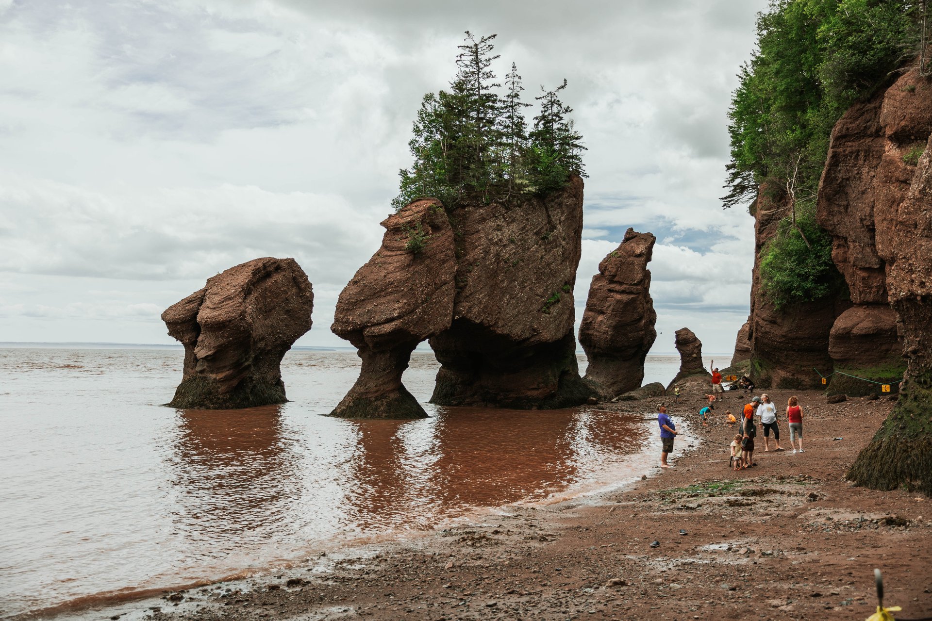 hopewell rocks virtual tour